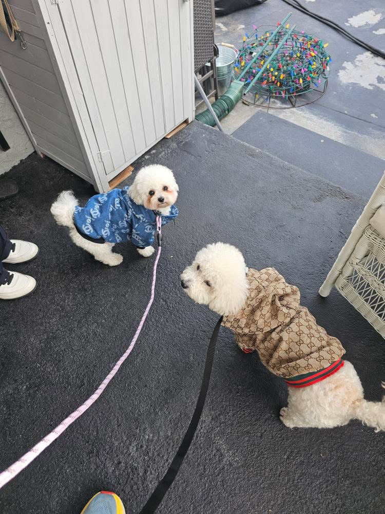 Chewnel Denim Jacket