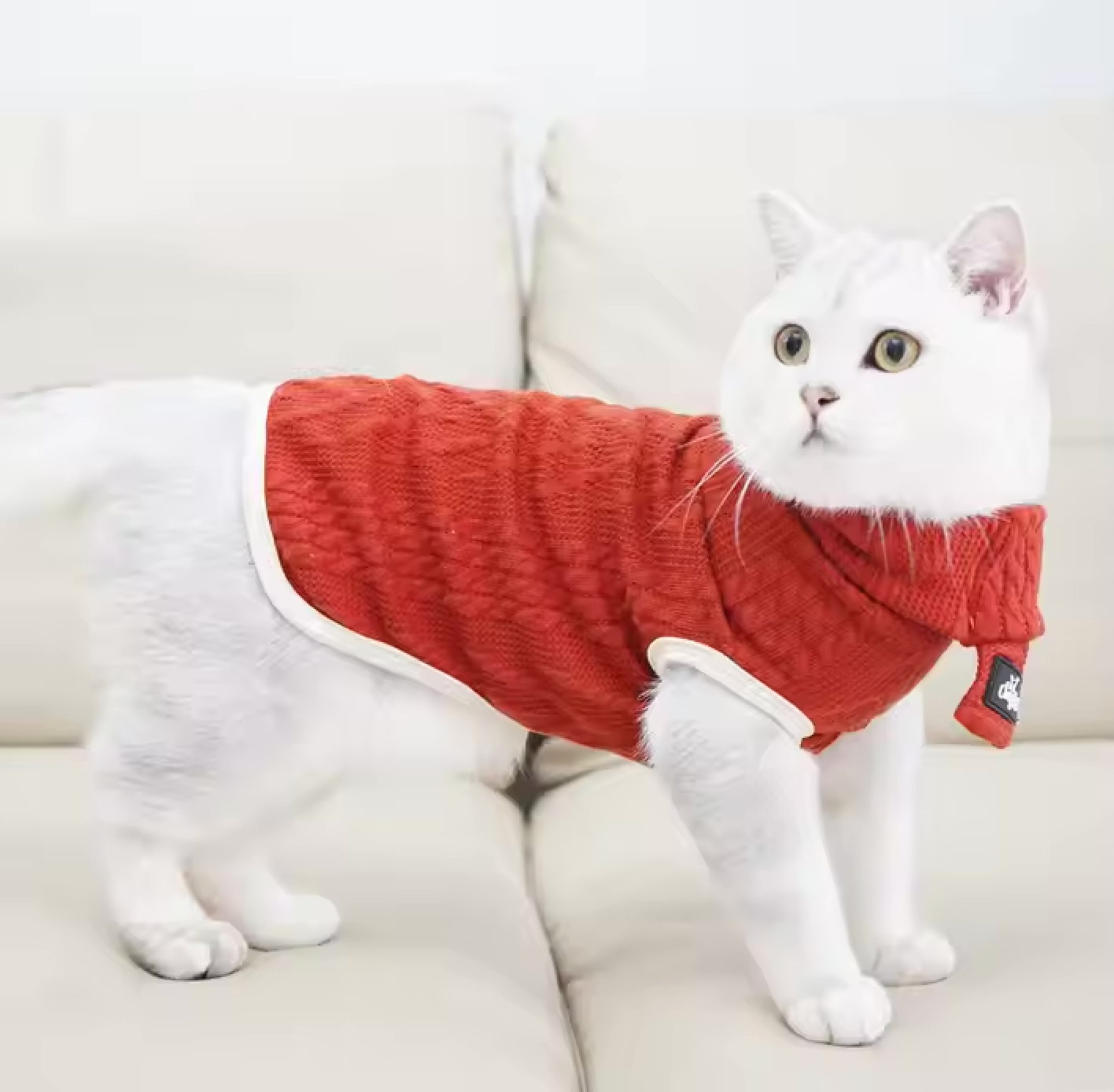 Cable Knit Sweater