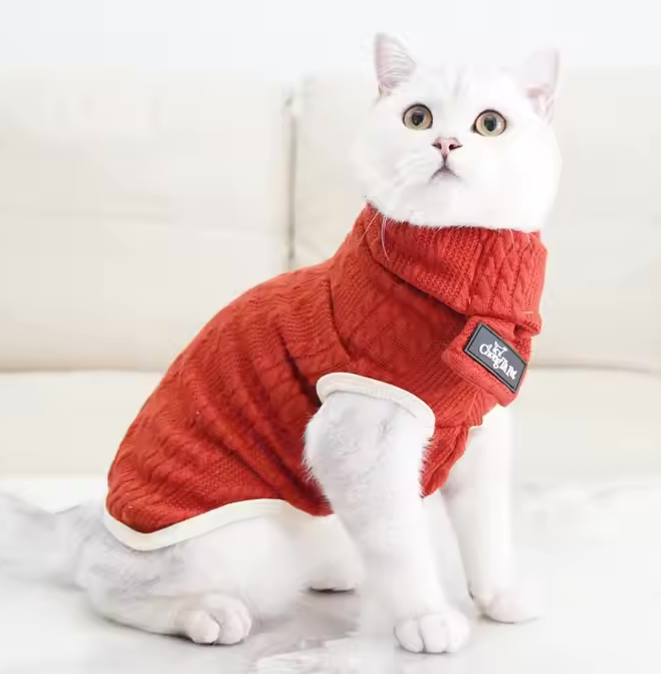 Cable Knit Sweater