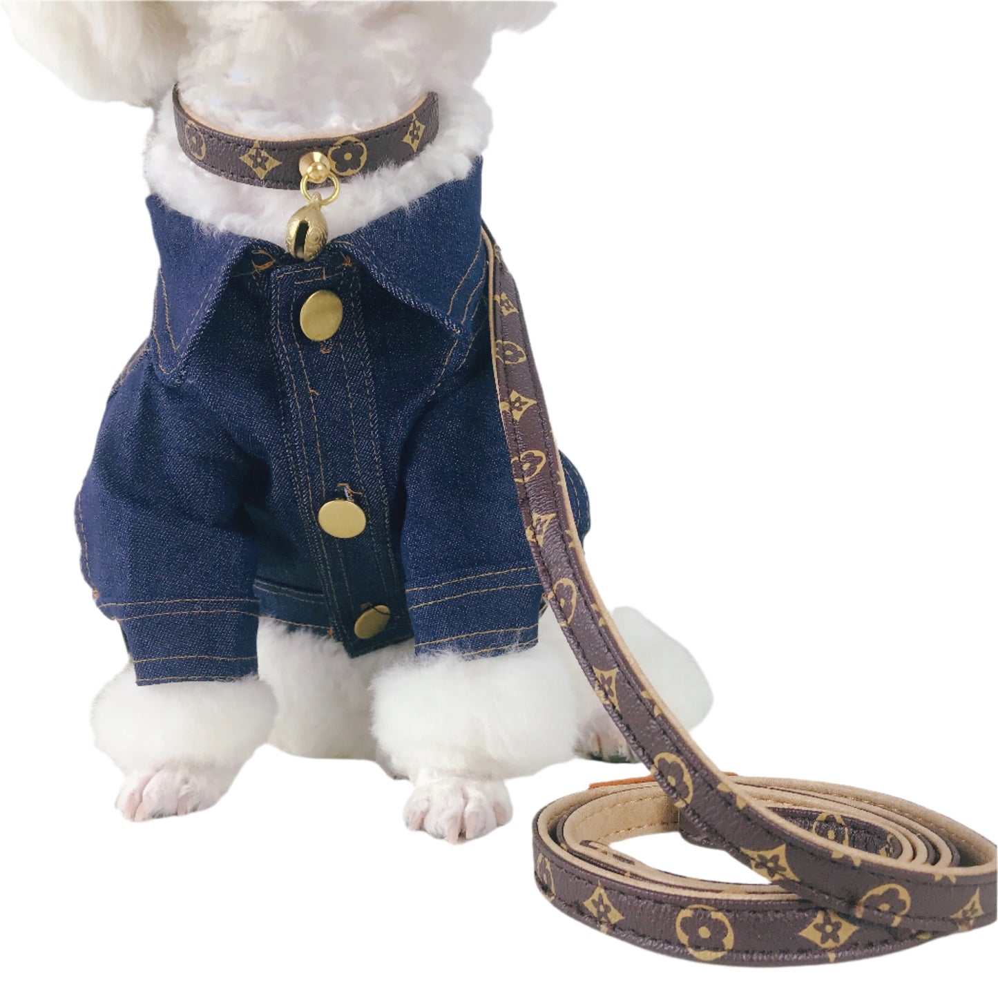 Luxury Designer Collar with Bell + Leash Set