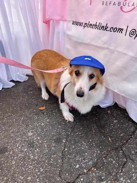 Los Angeles "Dogers" Baseball Cap
