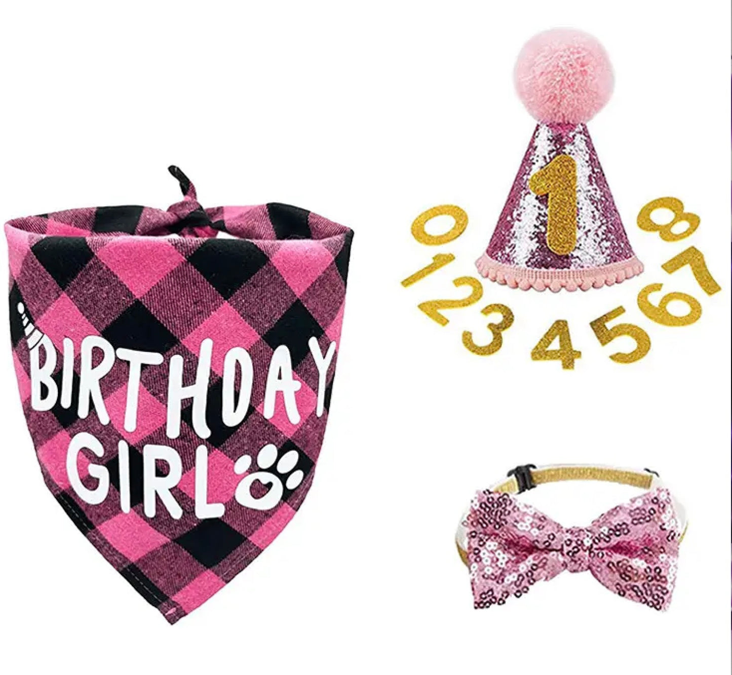 Dog/Cat Birthday Party Supply Package