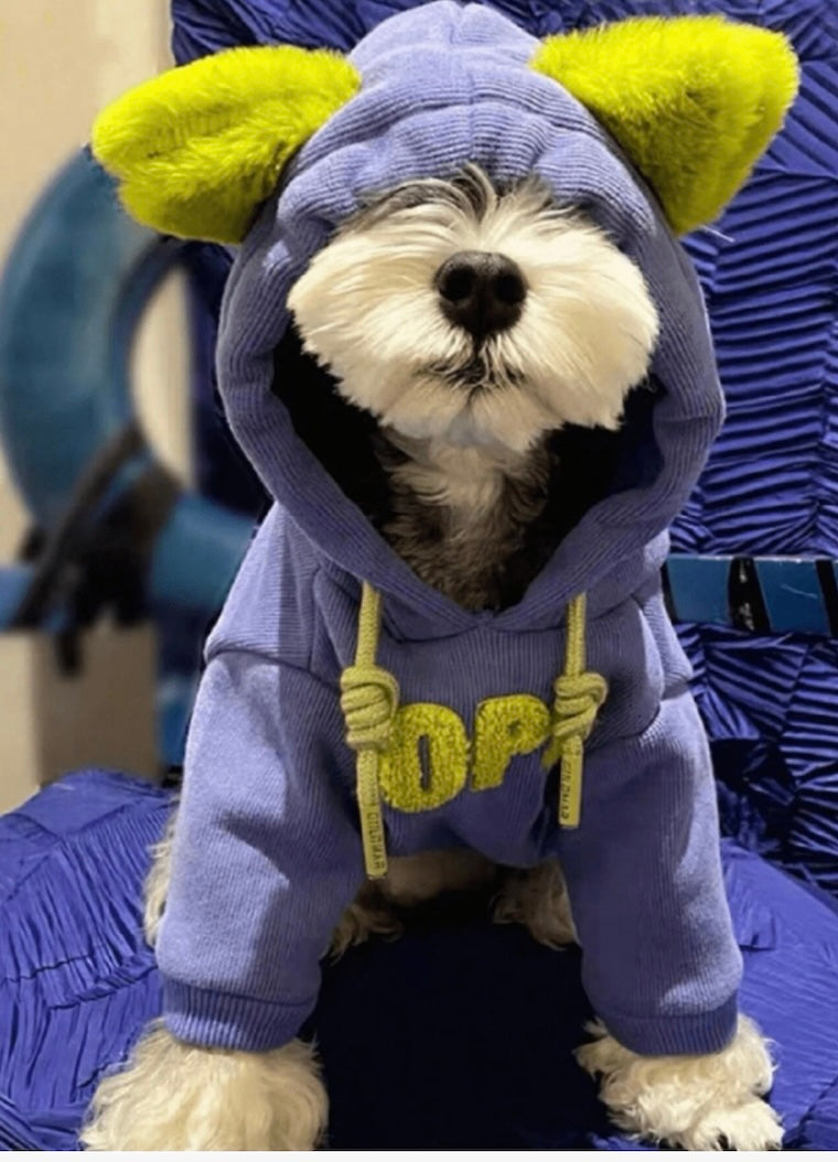 Cute Hoodie with Ears