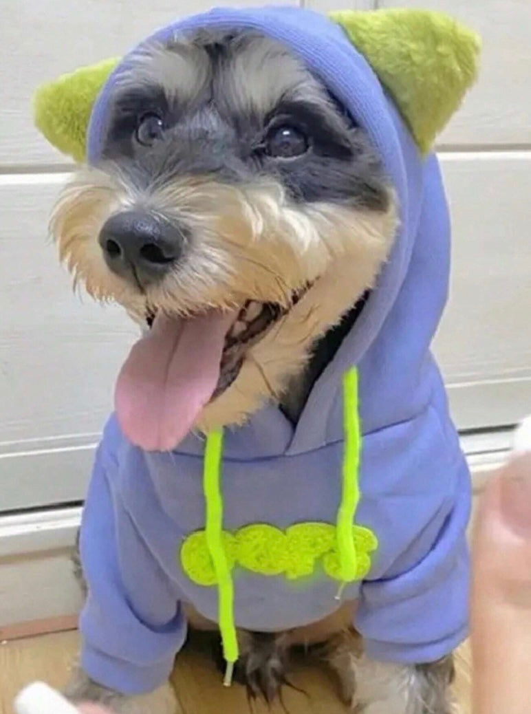 Cute Hoodie with Ears