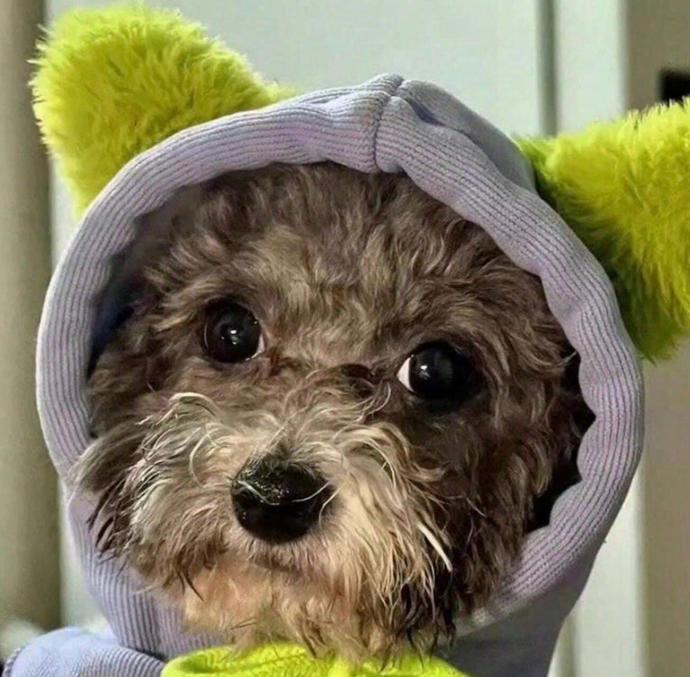 Cute Hoodie with Ears