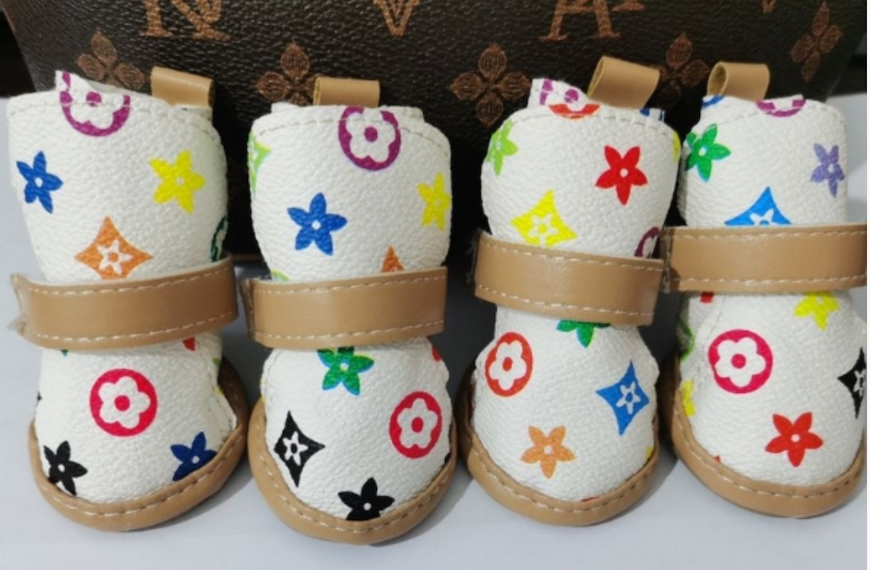 Designer Louis Pawtton Shoes