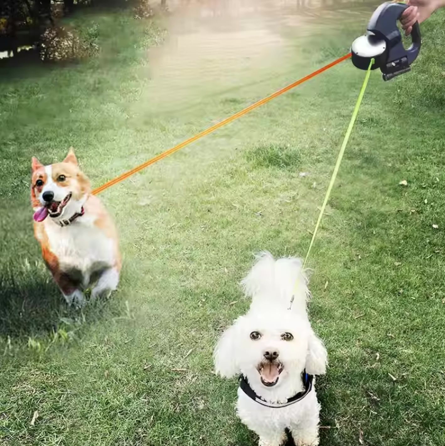 Double Dog Leash Extendable
