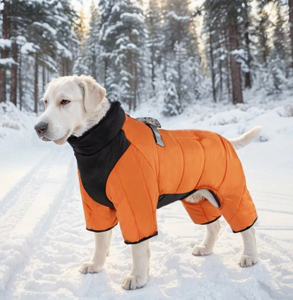 Thick 4-Leg Thermal Lined Windproof Waterproof Warm Dog Coat