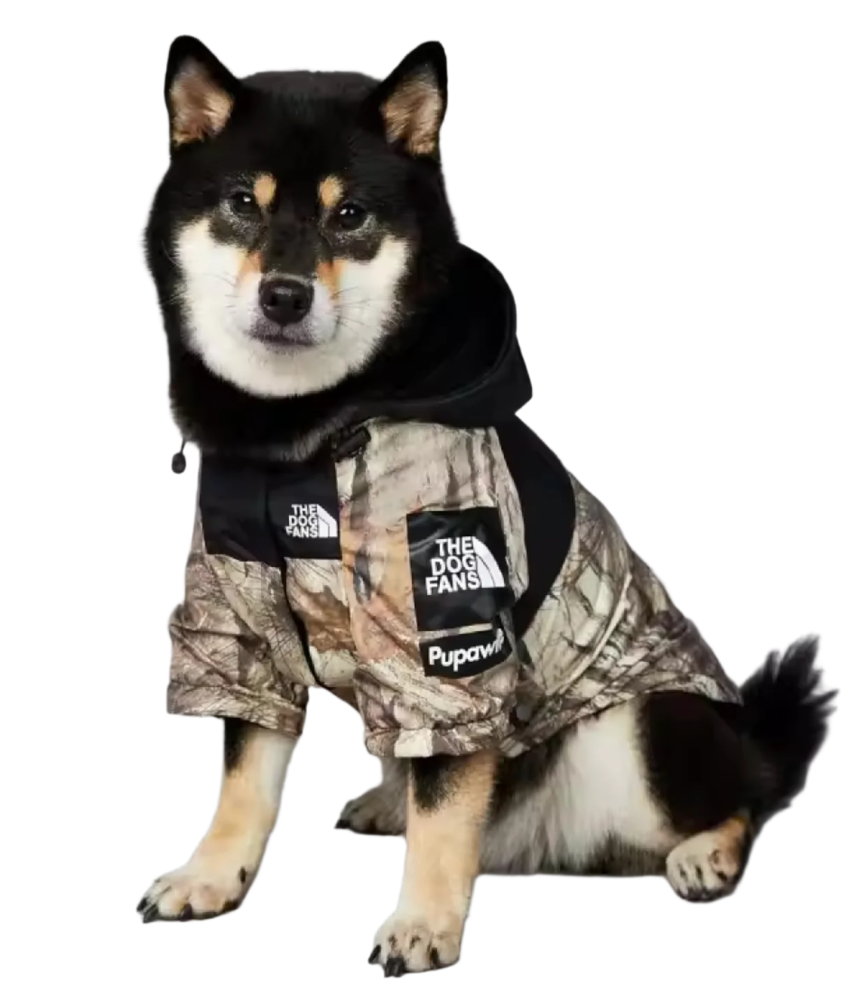 Dog Face Raincoat