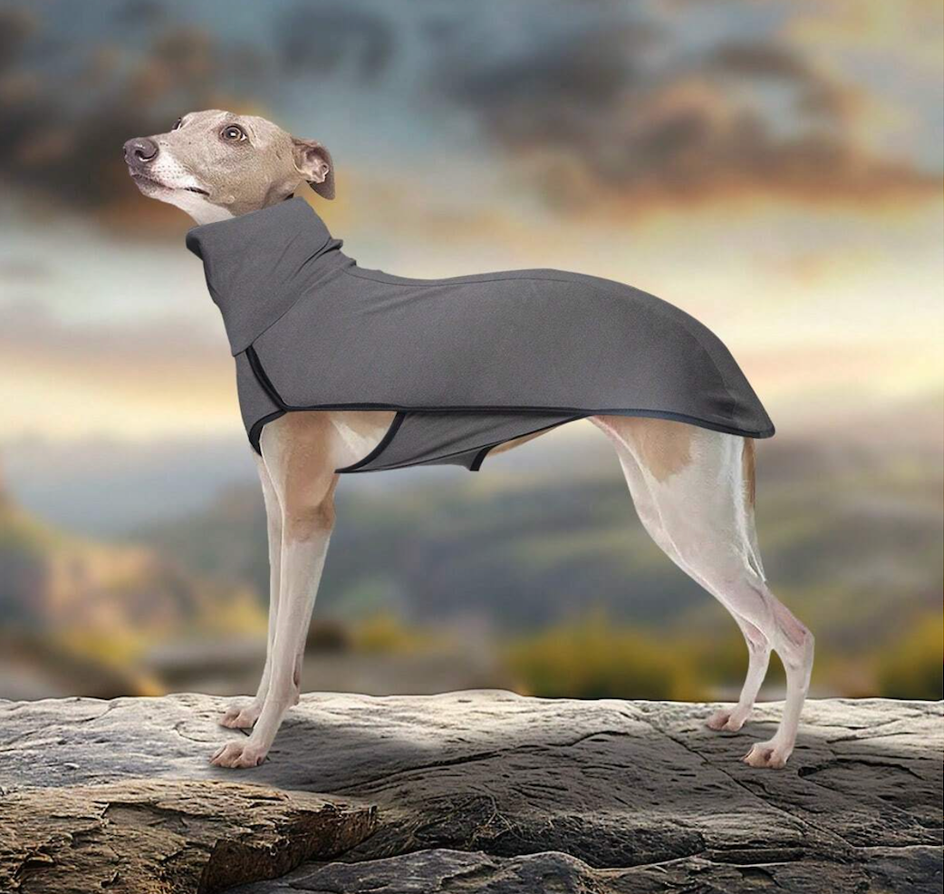 Velvet High Collar Pullover for Large Dog