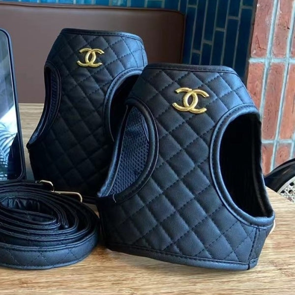 Chewnel Harness and Leash Set