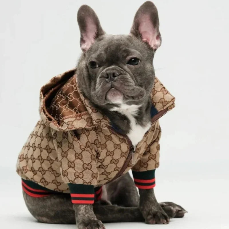 Pucci Hooded Jacket