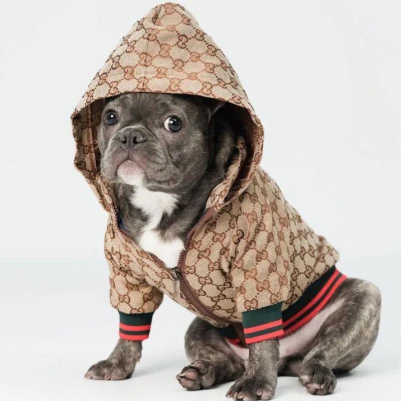 Pucci Hooded Jacket