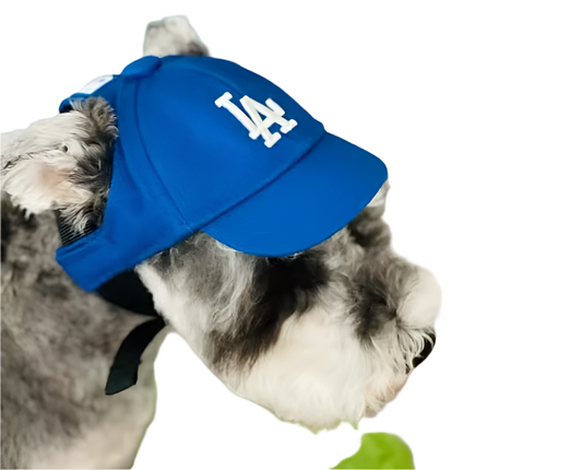 Los Angeles D*dge* Team Baseball Cap