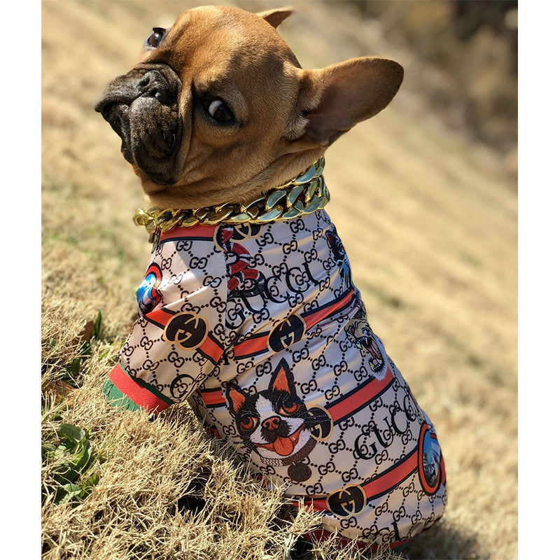 Pucci Hoodless Zipper Jacket