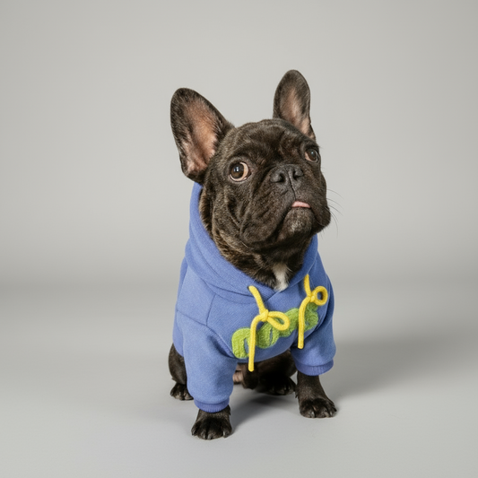 Cute Hoodie with Ears