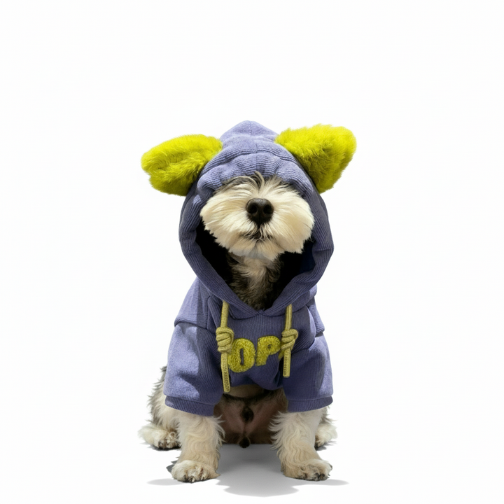 Cute Hoodie with Ears