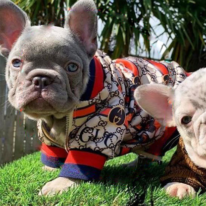 Pucci Hoodless Zipper Jacket