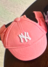 Los Angeles D*dge* Team Baseball Cap
