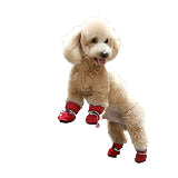 Non-Slip Puppy Shoes,  Dog Shoes with Adjustable Drawstring