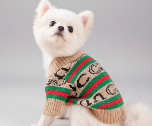 Pucci Buttoned Knit Sweater Cardigan (Beige)