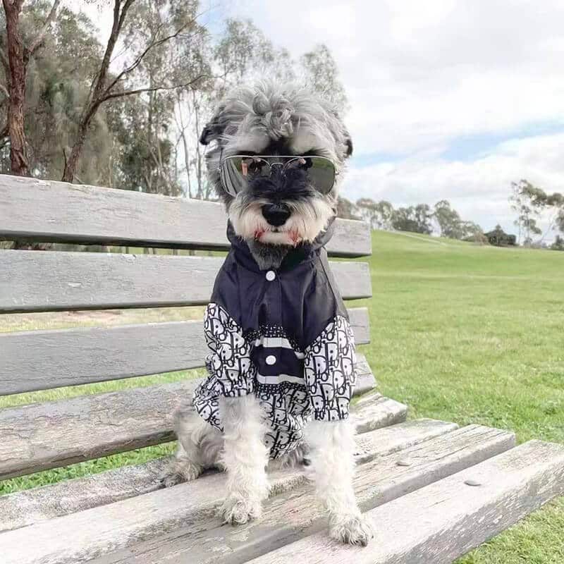Christian Dogior Windbreaker, Raincoat