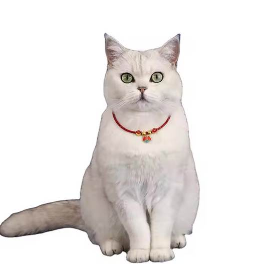 Collar with Pendant