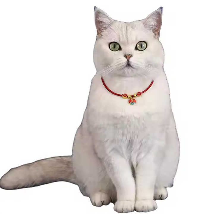 Collar with Pendant