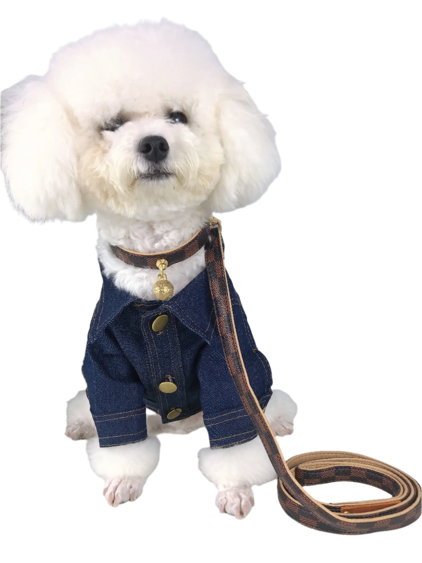 Luxury Designer Collar with Bell + Leash Set