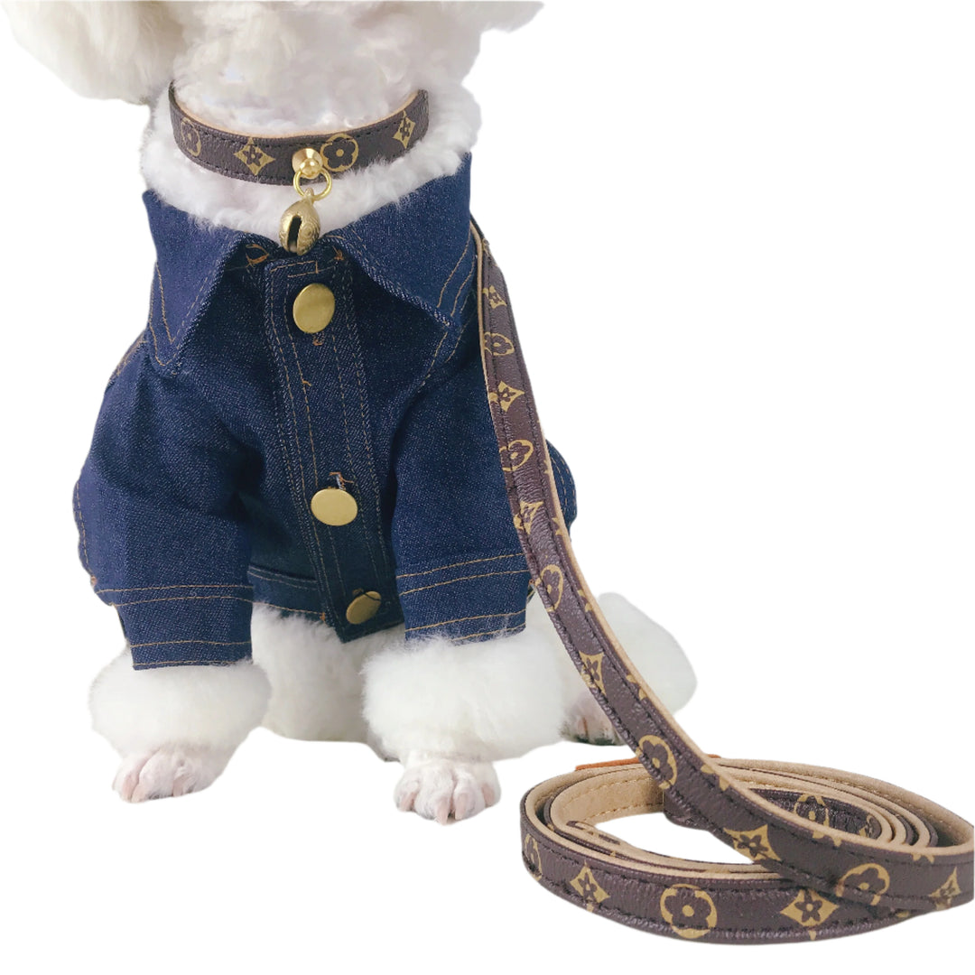Luxury Designer Collar with Bell + Leash Set