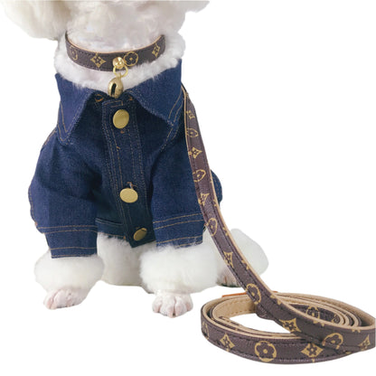 Luxury Designer Collar with Bell + Leash Set