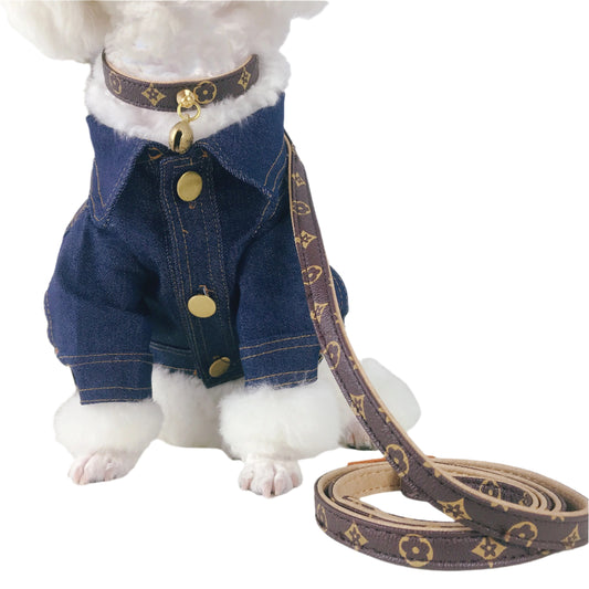 Luxury Designer Collar with Bell + Leash Set