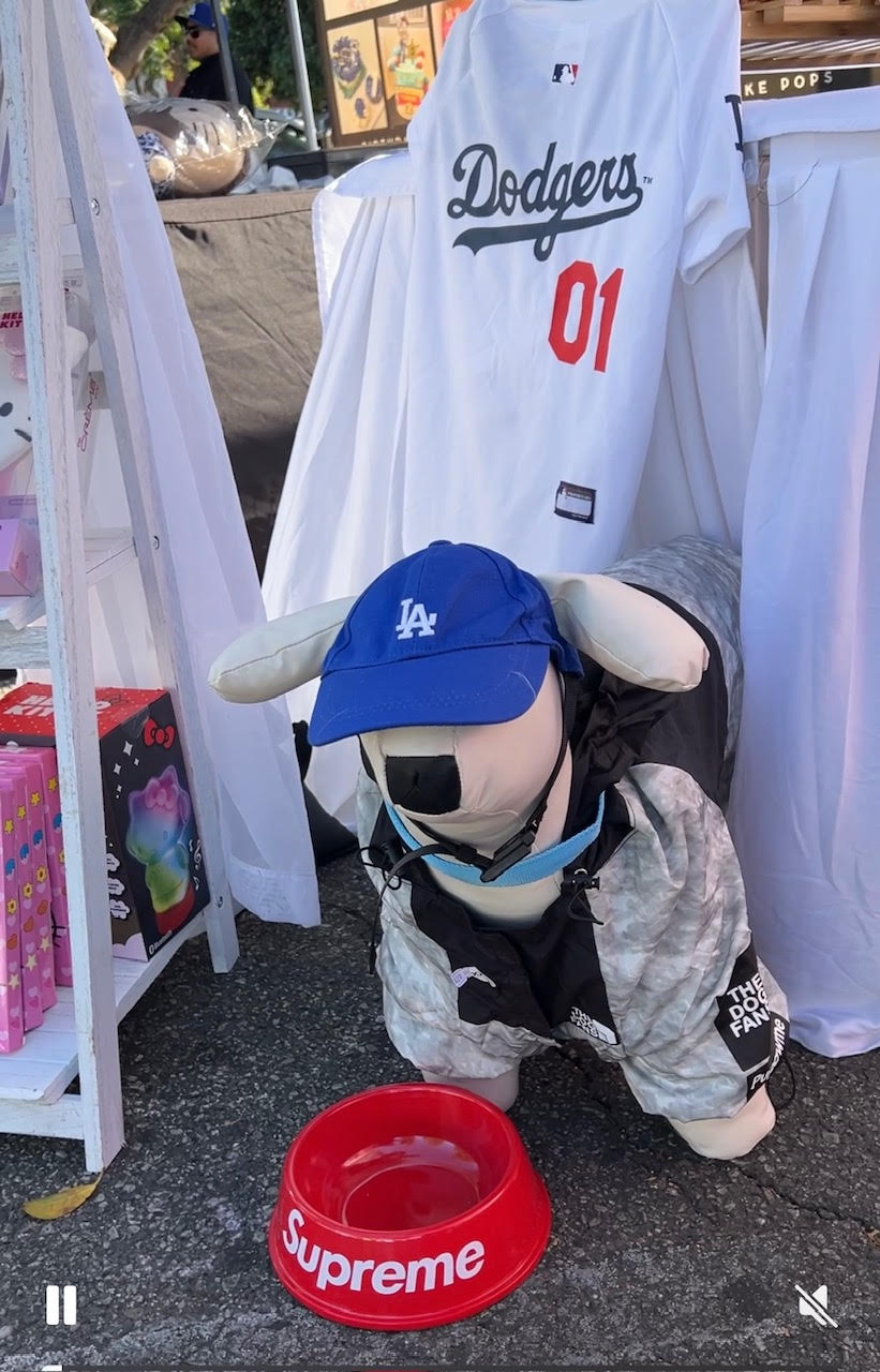 Los Angeles D*dge* Team Baseball Cap