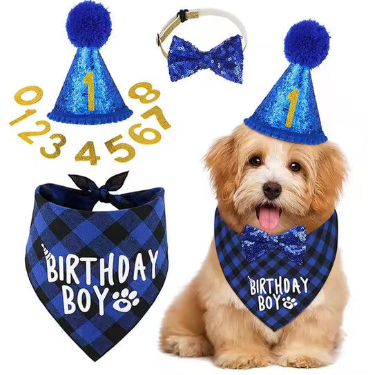 Dog/Cat Birthday Party Supply Package