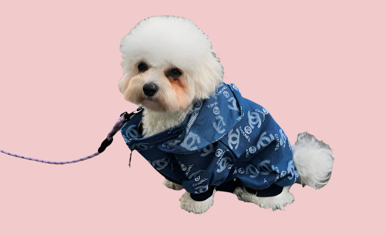 Chewnel Denim Jacket