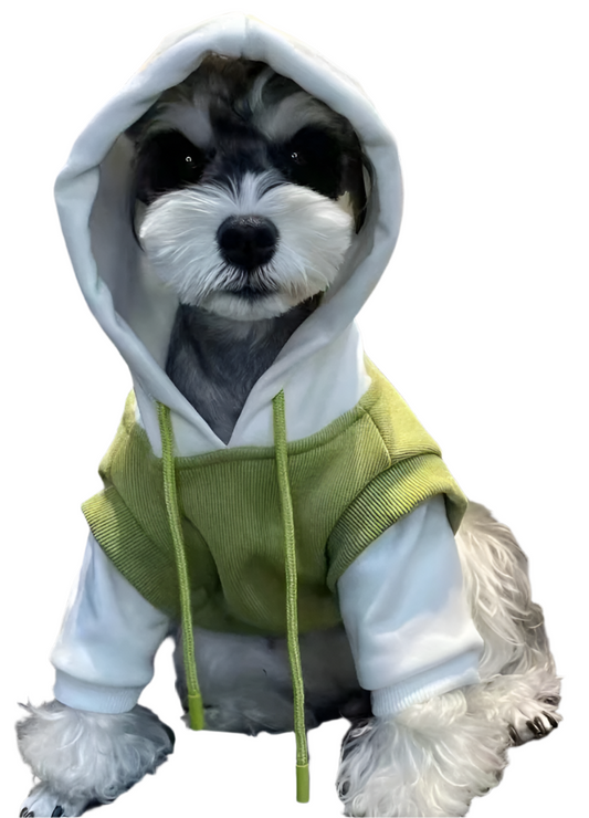 Green and White Knit Pullover Hoodie