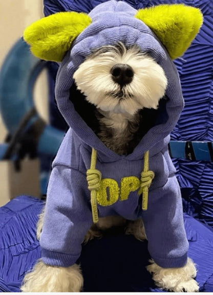 Cute Hoodie with Ears