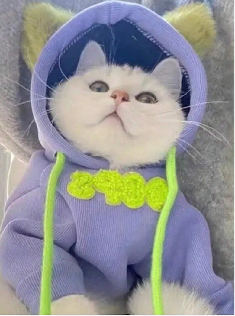Cute Hoodie with Ears