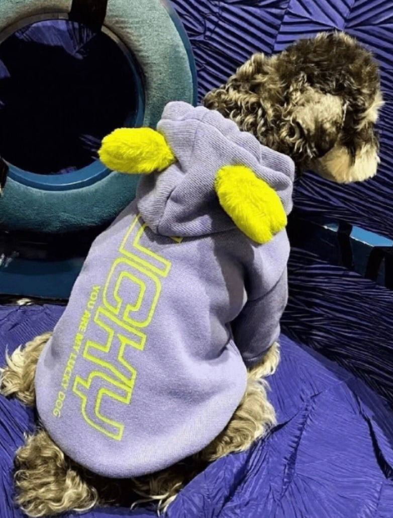 Cute Hoodie with Ears