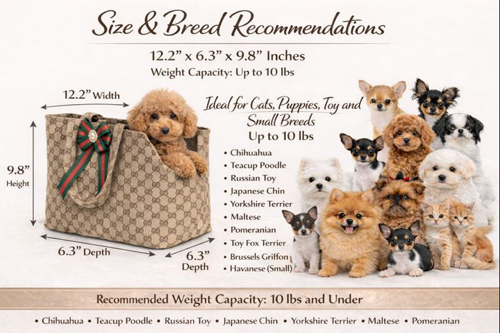 Iconic Luxury Monogram Pet Carrier – Designer-Inspired