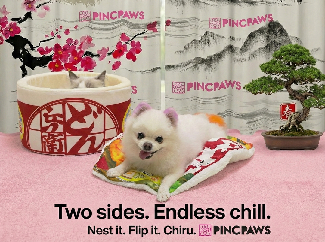 The Kyun Ramen Nest - A cozy bowl of calm for cats & dogs