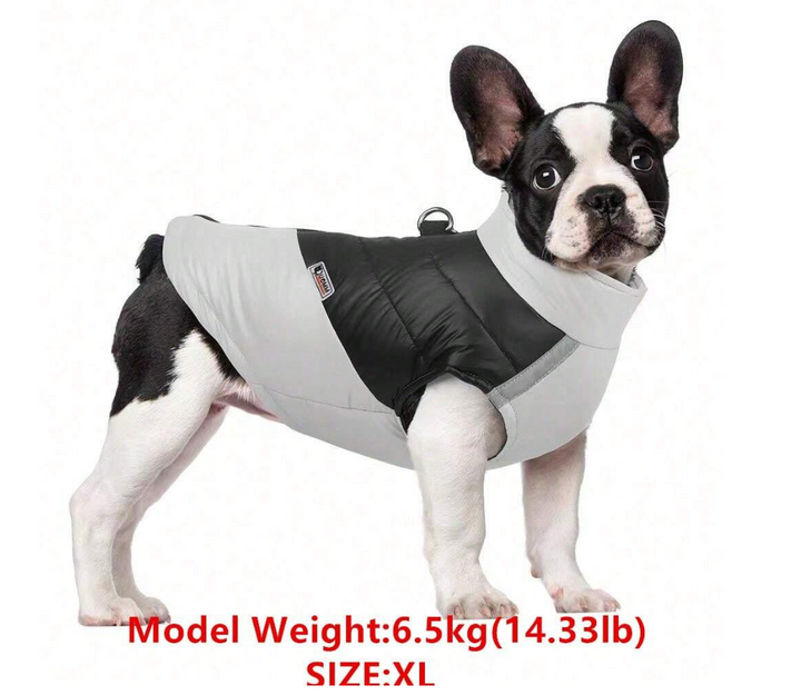 Black & Gray Quilted Dog Vest