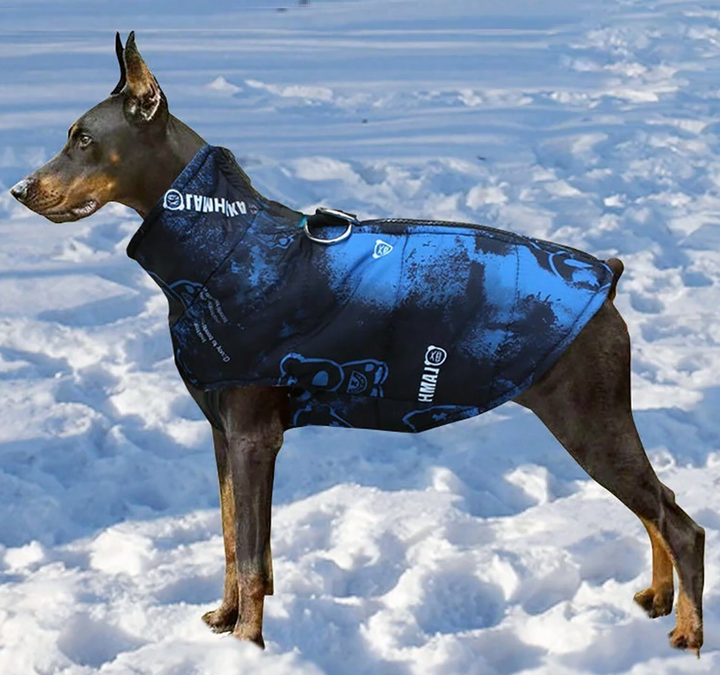 Blue & Black Bear Print Puffer Dog Vest