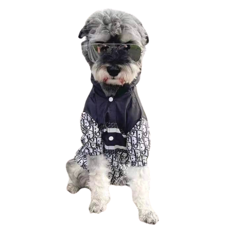 Christian Dogior Windbreaker, Raincoat