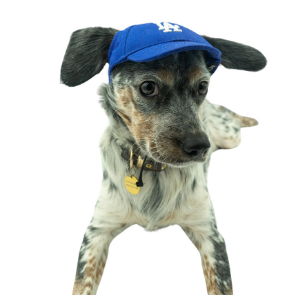 Los Angeles "Dogers" Baseball Cap