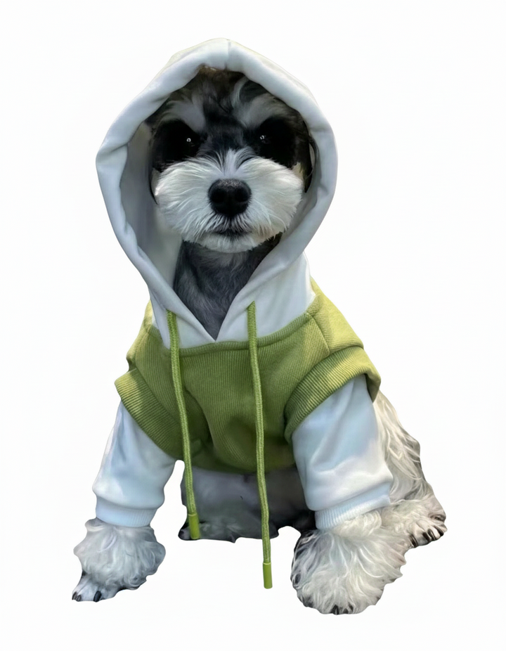 Green and White Knit Pullover Hoodie