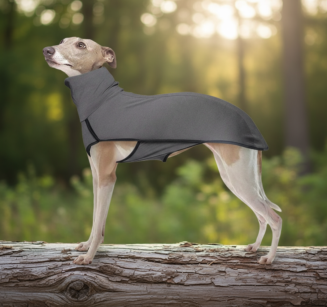 Velvet High Collar Pullover for Large Dog