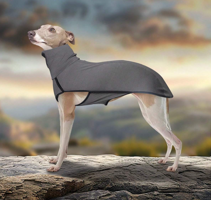 Velvet High Collar Pullover for Large Dog
