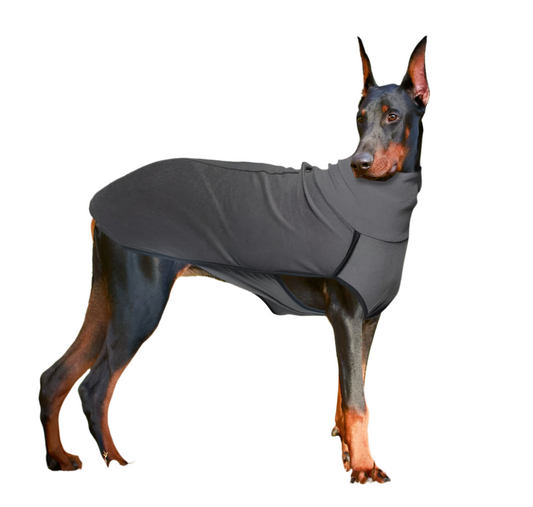 Velvet High Collar Pullover for Large Dog