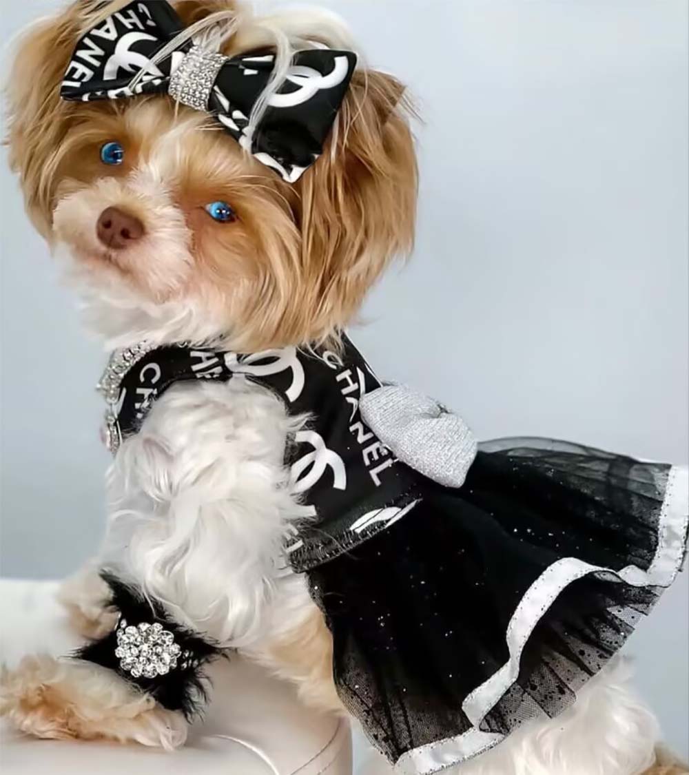 Chewnel Star Glitter Dress with Matching Hair Clip